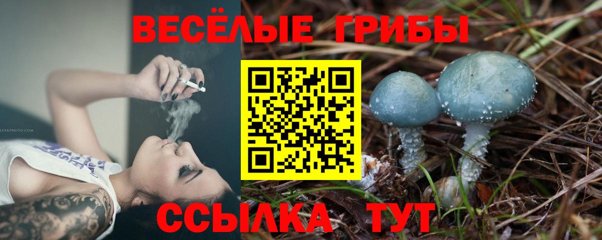 Псилоцибиновые грибы Magic Shrooms  Вход с VPN  Южноуральск 
